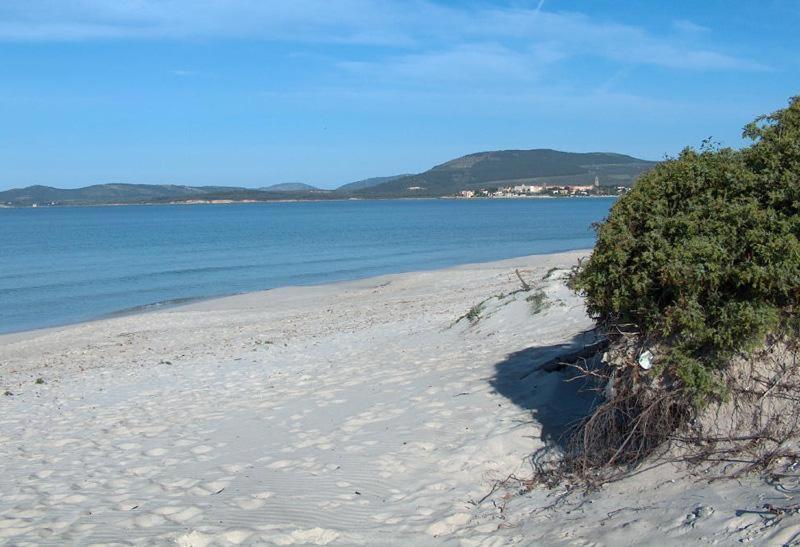 Appartamento A Pochi Passi Dalla Spiaggia Αλγκέρο Εξωτερικό φωτογραφία