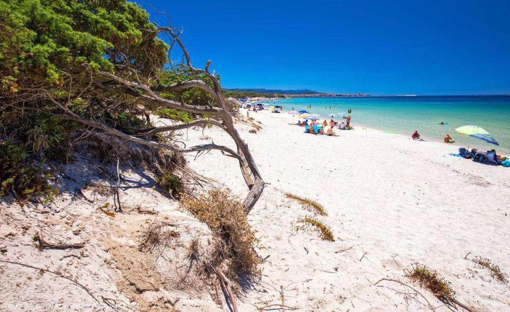 Appartamento A Pochi Passi Dalla Spiaggia Αλγκέρο Εξωτερικό φωτογραφία